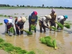 Experts believe that the trough is likely to move north once again and rains should gather momentum in these regions.&nbsp;