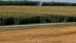 Automatic sprinklers connected to a dewatering pump irrigate dried corn fields near Piacenza, northern Italy.