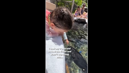 The toddler tried to make the fish drink water.&nbsp;(natalieandbruna/Instagram )