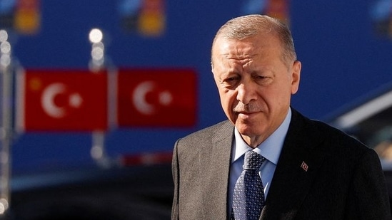 &nbsp;Turkey's President Recep Tayyip Erdogan said that Sweden in particular was not “projecting a good image”, but didn't elaborate.(Reuters file photo)