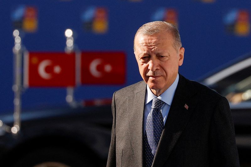 &nbsp;Turkey's President Recep Tayyip Erdogan said that Sweden in particular was not “projecting a good image”, but didn't elaborate. (Reuters file photo)