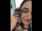 the kitten ‘complains’ to its mom about getting picked up by its human. (Instagram/@thekitt_inn) the kitten ‘complains’ to its mom about getting picked up by its human. (Instagram/@thekitt_inn)