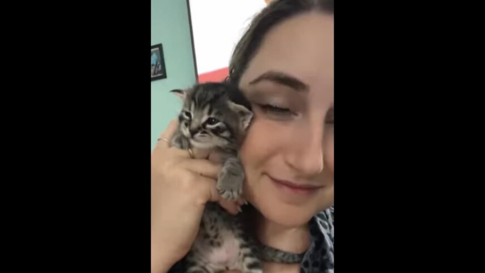 Cute kitten 'complains' to its mom that its human has picked it up ...