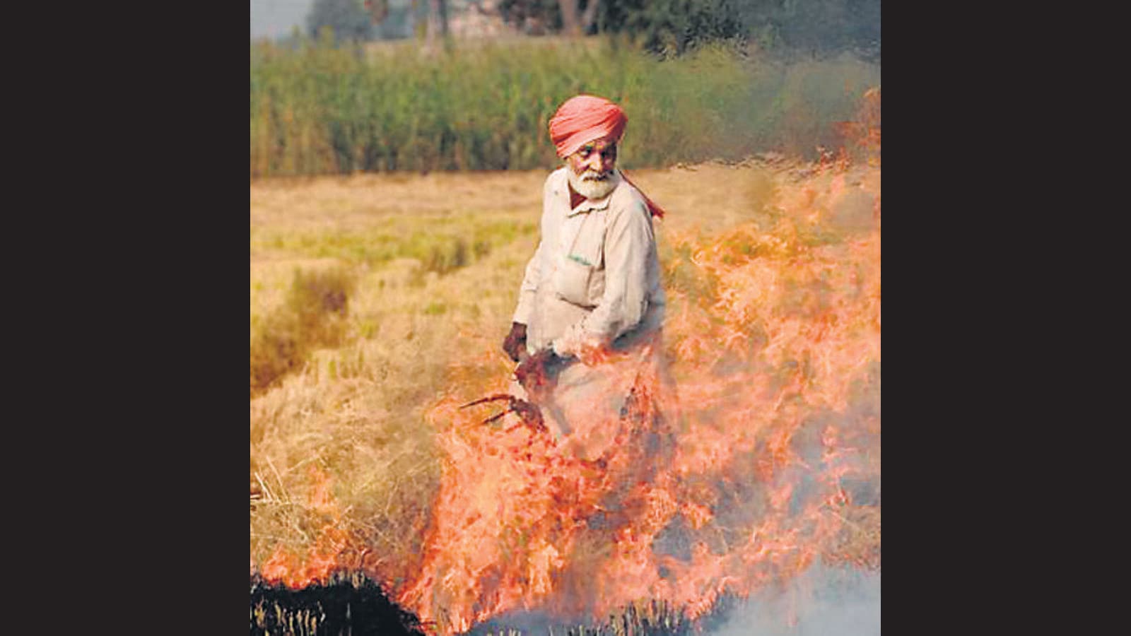 Delhi, Punjab Working On Joint Proposal To Pay Farmers For Not Burning ...