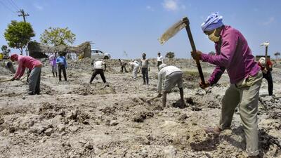 Villagers in 20 blocks of four Odisha districts of Balangir, Bargarh, Kalahandi and Nuspada that are prone to distress migration will be given 200 days of work in a year by the state government in addition to the mandated 100 days under the MNREGS. (PTI)