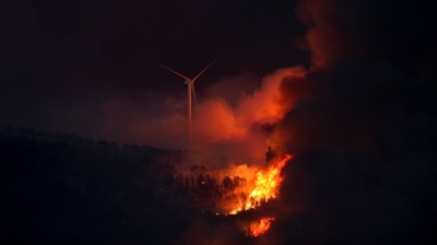 In Spain, a wildfire raced across a field and engulfed a excavator near the northern town of Tabara, forcing the driver to run for his life as flames burned the clothes off his back. The heatwave has lasted more than a week and caused more than 510 heat-related deaths, according to estimates from the Carlos III Health Institute. The photo shows a view of a windmill burning by a wildfire at night outside Tabara, Zamora, in Spain.&nbsp; (REUTERS)