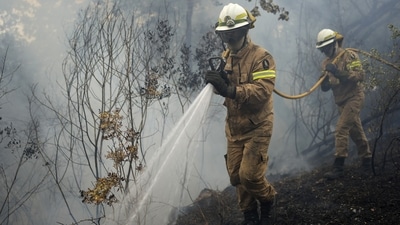 In Portugal – among the worst hit by the raging widlfires – almost the entire country is still on high alert for forest fires despite a slight drop in temperatures. The country hit 47 degrees Celsius – a record for the month of July – last week. (AP) In Portugal – among the worst hit by the raging widlfires – almost the entire country is still on high alert for forest fires despite a slight drop in temperatures. The country hit 47 degrees Celsius – a record for the month of July – last week. (AP)