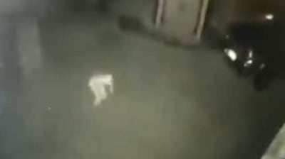 The image, taken from the Twitter video, shows the ‘pale creature’ captured on camera. (Twitter/@ParanormalityM)