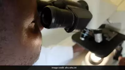 In humans, the Marburg virus causes severe viral hemorrhagic fever. (WHO) In humans, the Marburg virus causes severe viral hemorrhagic fever. (WHO)