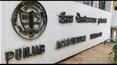 During the pandemic too, PAU, Ludhiana, had made strenuous efforts to hold virtual Kisan Melas and had provided the latest information, knowledge and farm inputs at the farmers’ doorsteps, he added (HT FILE)