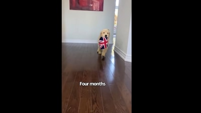 The image has been taken from the video posted on Instagram. (Instagram/@lifeofsterlingnewton) The image has been taken from the video posted on Instagram. (Instagram/@lifeofsterlingnewton)