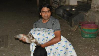 The petition filed through advocate Amrita Nair has claimed that the 47-year-old has been an animal lover and has been involved in rescuing and saving thousands of injured animals and birds from across the city for the past 25 years due to which he has been given the title of Birdman (HT File) The petition filed through advocate Amrita Nair has claimed that the 47-year-old has been an animal lover and has been involved in rescuing and saving thousands of injured animals and birds from across the city for the past 25 years due to which he has been given the title of Birdman (HT File)