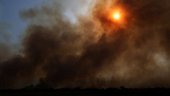 The heatwave is now spreading north, forcing thousands of residents and holidaymakers to flee the continent. Scientists have blamed climate change for the extreme weather conditions and predict more frequent and intense episodes of heatwaves and drought.&nbsp;(REUTERS)