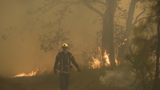 In France, the forest blaze forced more than 16,000 people – residents and tourists combined – to leave their cities and towns. Additional teams of firefighting planes, 200 firefighters and trucks are being sent to curb the fire. (AP)