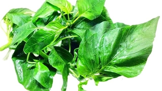 Amarnath greens: We are always looking for good sources of iron, and amaranth leaves don’t disappoint. Iron-rich, amaranth greens promote coagulation and increase haemoglobin content and red blood cell counts.(Pinterest)