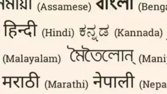 A row was fuelled once again in the Kannada cyberspace over language and Hindi imposition. (Image source: Velivada)