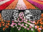 Colour blindness: Why is it more prominent in men?(Unsplash) Colour blindness: Why is it more prominent in men?(Unsplash)