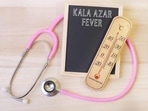 Kala Azar: Causes, types, symptoms and treatment Kala Azar: Causes, types, symptoms and treatment