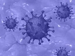 A study comparing four variants of SARS-CoV-2 shows how the Omicron variant is adept at entering cells and escaping neutralization from existing vaccines or prior infection, potentially contributing to the variant's high transmissibility.(Pixabay) A study comparing four variants of SARS-CoV-2 shows how the Omicron variant is adept at entering cells and escaping neutralization from existing vaccines or prior infection, potentially contributing to the variant's high transmissibility.(Pixabay)