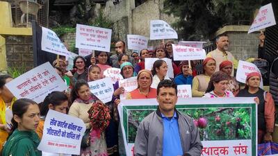 Fruit growers stage a protest alleging government apathy towards the issues of the apple belt farmers at Theog, Shimla. (HT Photo)