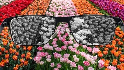 Colour blindness: Why is it more prominent in men? (Unsplash)