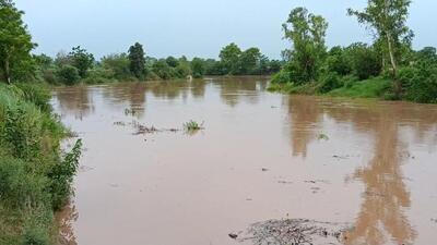 The Ghaggar river at Makorad village near Khanuri in Sangrur on Wednesday. (HT Photo)