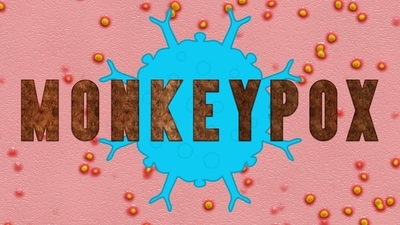 Monkeypox: Person-to-person transmission, animal to human transmission, precautions and preventive measures (Image by Pete Linforth from Pixabay ) Monkeypox: Person-to-person transmission, animal to human transmission, precautions and preventive measures (Image by Pete Linforth from Pixabay )