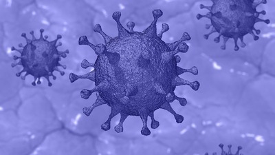 A study comparing four variants of SARS-CoV-2 shows how the Omicron variant is adept at entering cells and escaping neutralization from existing vaccines or prior infection, potentially contributing to the variant's high transmissibility. (Pixabay)