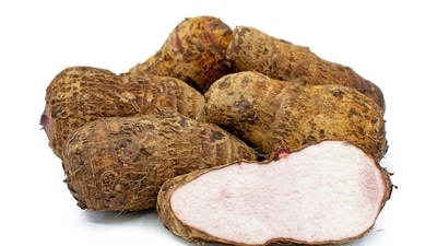Tarot root, also known as kochu, gathi or arbi is a vegetable that has a very mild, nutty taste and starchy texture. This tropical root provides a variety of health benefits including improved blood sugar management, promoting heart and digestive health, preventing cancer, improve vision health and more. (Pixabay) Tarot root, also known as kochu, gathi or arbi is a vegetable that has a very mild, nutty taste and starchy texture. This tropical root provides a variety of health benefits including improved blood sugar management, promoting heart and digestive health, preventing cancer, improve vision health and more. (Pixabay)
