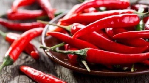 The lab report of the Spices Board has proved the Odisha chilli has more pungency than Guntur chilli (in picture). The lab report of the Spices Board has proved the Odisha chilli has more pungency than Guntur chilli (in picture).
