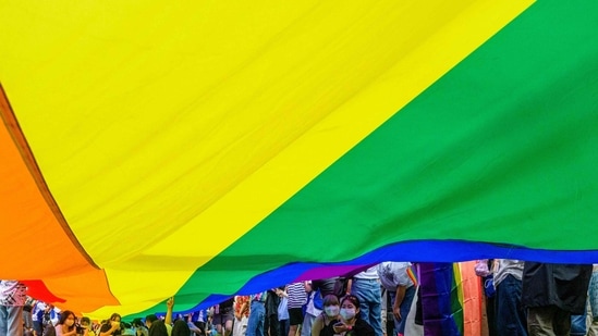 The Respect for Marriage Act was approved in the Democratic-controlled chamber by a vote of 267 to 157, but its prospects are uncertain in the Senate. (AFP) The Respect for Marriage Act was approved in the Democratic-controlled chamber by a vote of 267 to 157, but its prospects are uncertain in the Senate. (AFP)