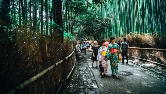 Foreign visitors to Japan fell in June from the previous month, even after the country began taking steps to reopen its borders to tourists for the first time in more than two years. (Unsplash)