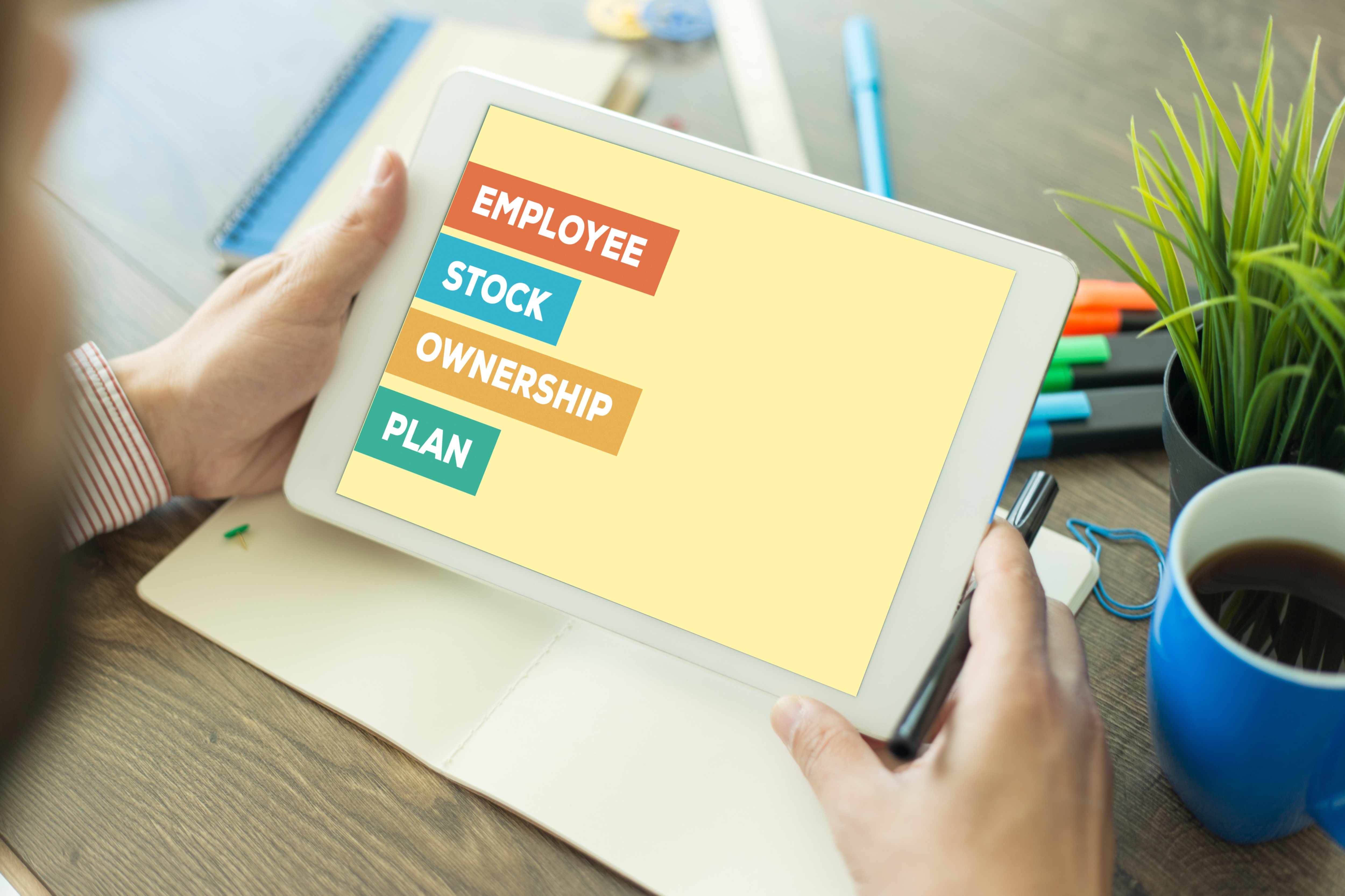 Flipkart had one of the biggest ESOP buybacks worth $80.5 million. Other companies include Browserstack, Swiggy, upGrad, Zerodha, Razorpay, CoinSwitch, CRED and more. (Shutterstock) Flipkart had one of the biggest ESOP buybacks worth $80.5 million. Other companies include Browserstack, Swiggy, upGrad, Zerodha, Razorpay, CoinSwitch, CRED and more. (Shutterstock)