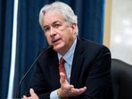 CIA chief Bill Burns. (Twitter)