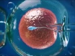 Reasons why many IVF embryos fail to develop: Study