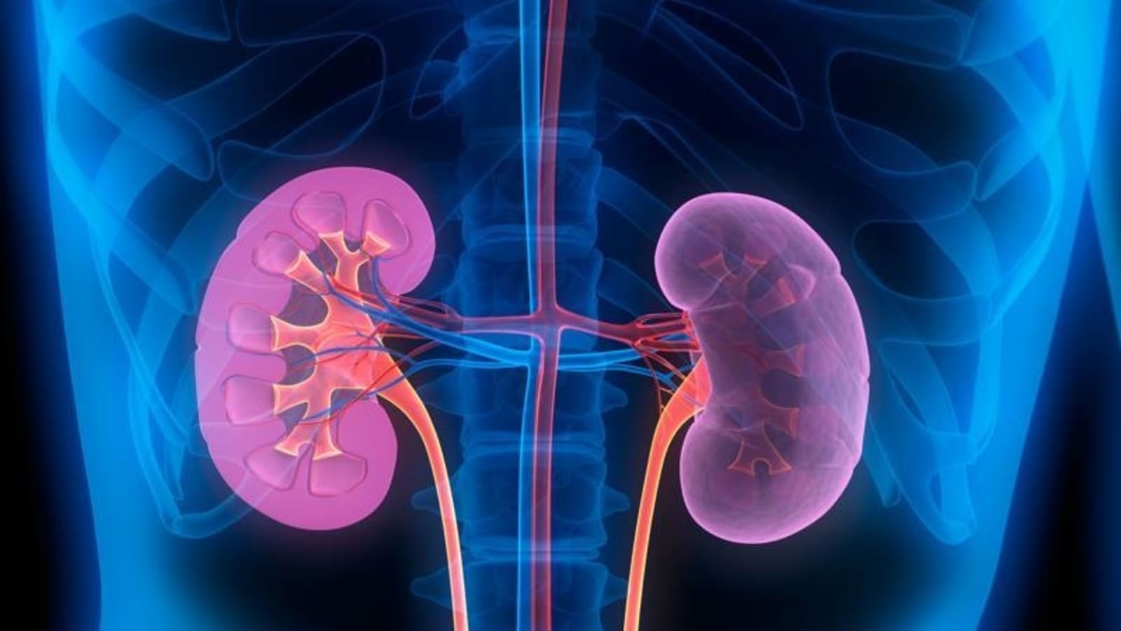 Kidney health in monsoon: Tips to prevent viral infections that may cause serious kidney diseases