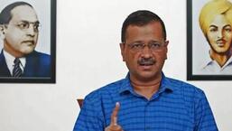 Deputy CM said chief minister Kejriwal does not agree with the views of LG. (File image)