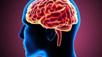 An individual’s lifestyle has a profound impact on his or her brain health. (Shutterstock) An individual’s lifestyle has a profound impact on his or her brain health. (Shutterstock)