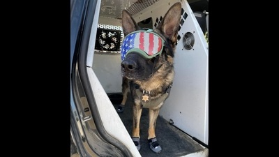 The image shows the dog sporting special shoes and sunglasses to protect against the heat.&nbsp; (Facebook/Ventura County Sheriff's Office)