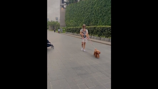Aparshakti Khurana goes for a stroll with his daughter and dog. Watch ...