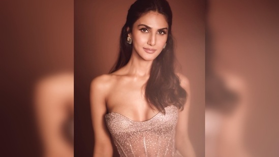 Vaani Kapoor donned a rose gold strapless corset top and teamed it with a pair of loose-fit pleated trousers.(Instagram/@_vaanikapoor_)