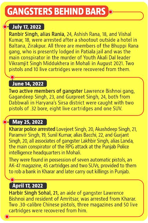 11 gangsters nabbed in Mohali in past four months aged less than 24 11 gangsters nabbed in Mohali in past four months aged less than 24