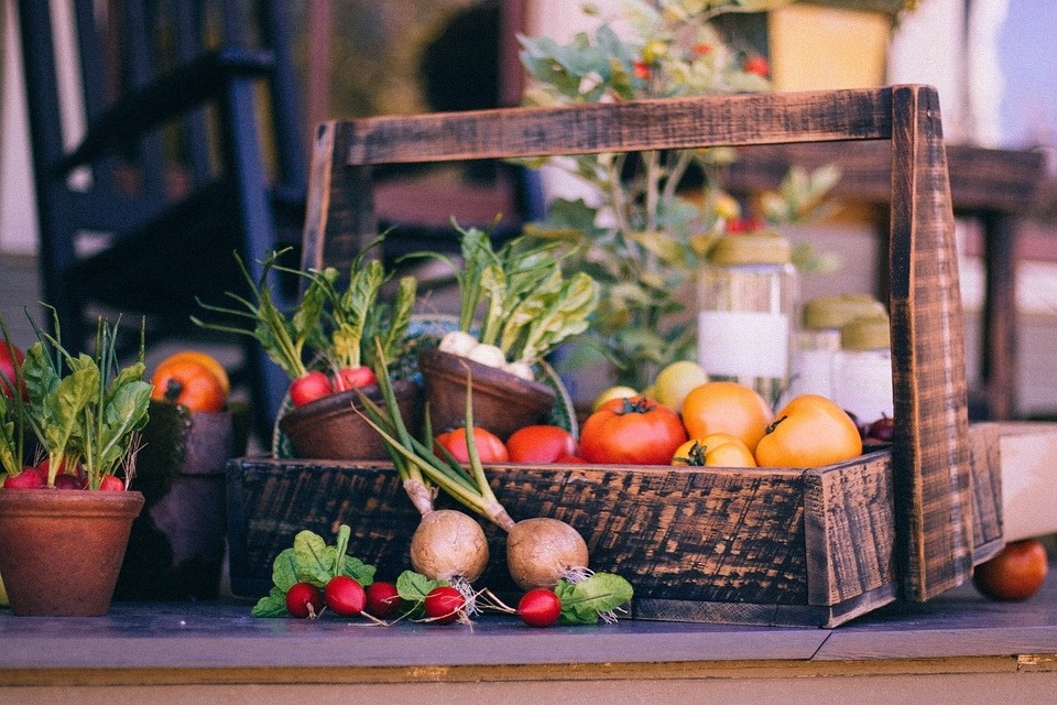 Eating high fibre foods may reduce the effects of stress, according to research published in The Journal of Physiology (Pixabay) Eating high fibre foods may reduce the effects of stress, according to research published in The Journal of Physiology (Pixabay)