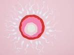 Unexplained infertility most likely involves issues with poor egg or sperm quality, or problems with the uterus or fallopian tubes that aren't identifiable during normal fertility testing(Pexels) Unexplained infertility most likely involves issues with poor egg or sperm quality, or problems with the uterus or fallopian tubes that aren't identifiable during normal fertility testing(Pexels)