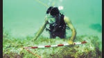 In 2007, the Underwater Archaeology Wing of the ASI started a detailed excavation off the coast of Gujarat in search of the sunken city of Dwarka. (ASI) In 2007, the Underwater Archaeology Wing of the ASI started a detailed excavation off the coast of Gujarat in search of the sunken city of Dwarka. (ASI)