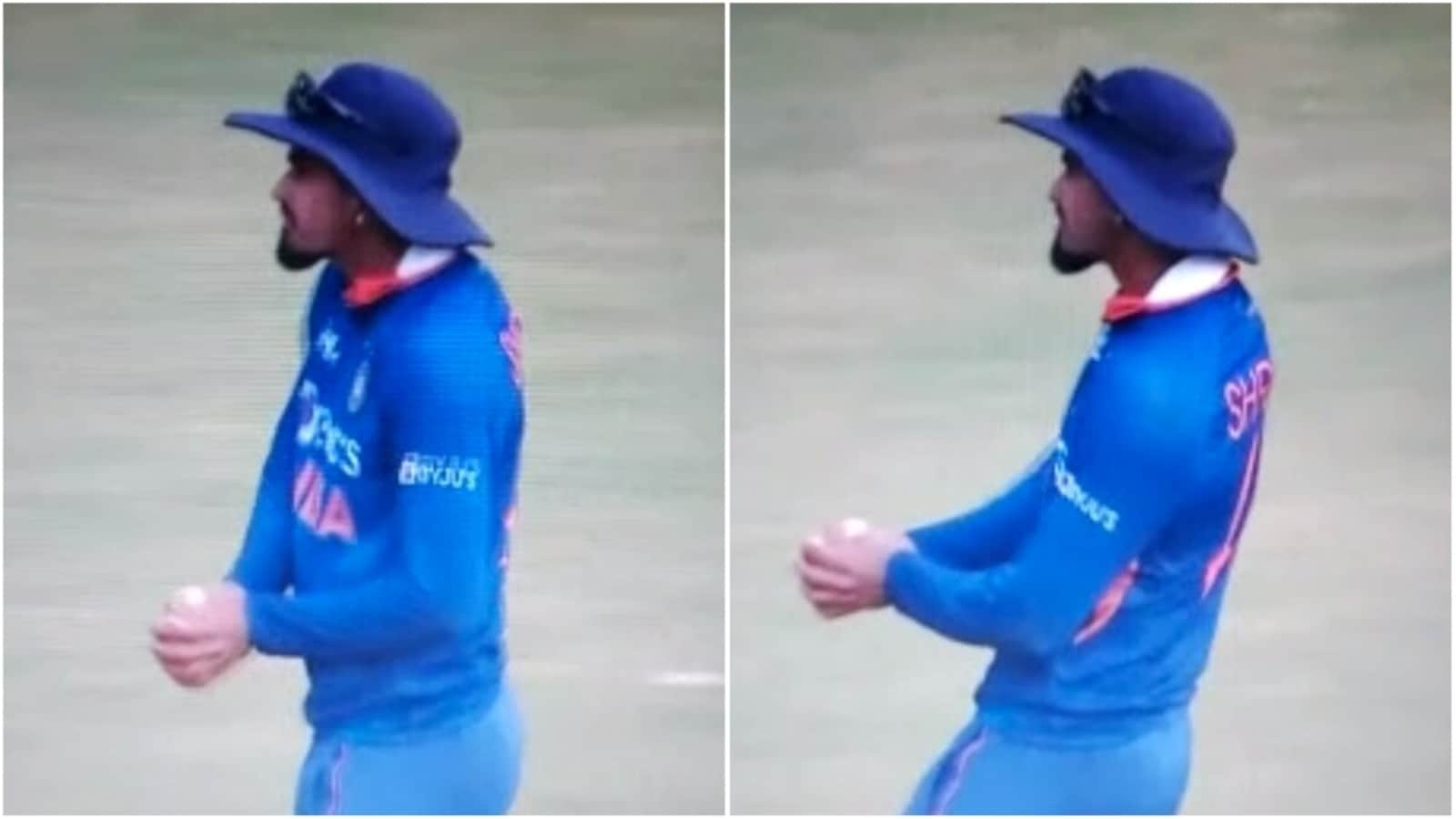 Watch: Shreyas Iyer's unique dancing celebration towards stands after taking Shamarh Brooks' catch goes viral