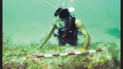 In 2007, the Underwater Archaeology Wing of the ASI started a detailed excavation off the coast of Gujarat in search of the sunken city of Dwarka. (ASI) In 2007, the Underwater Archaeology Wing of the ASI started a detailed excavation off the coast of Gujarat in search of the sunken city of Dwarka. (ASI)