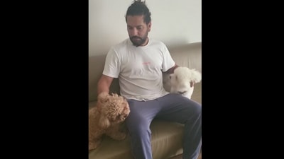 The image, taken from the Instagram video, shows Yuvraj Singh with his dogs. (Instagram/@yuvisofficial)