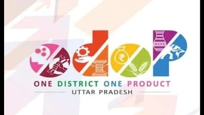 For exposure to the international market, the Uttar Pradesh government will showcase ODOP articles on international platforms such as Dubai Expo and others. (Pic for representation)