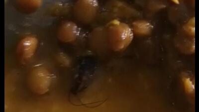 A patient has complained of the presence of a cockroach in the food he was served at Vashi General Hospital. Navi Mumbai Municipal Corporation has sent show cause notice to the caterer. Shown here is the screenshot of the video that went viral. (HT PHOTO)